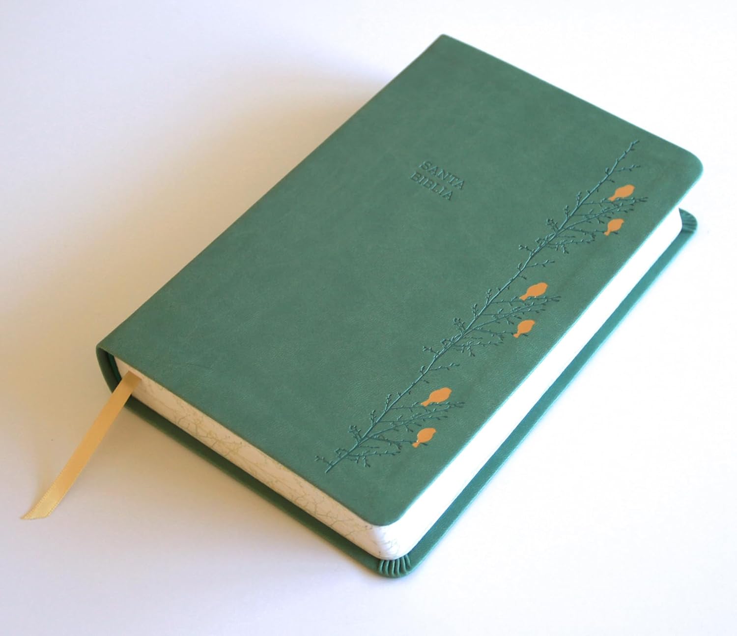 Biblia Reina-Valera 1960, Letra 14 Pt, 14×21, Palabras De Jesús En Rojo, Concordancia, Tapa PU, Verde, Pájaros