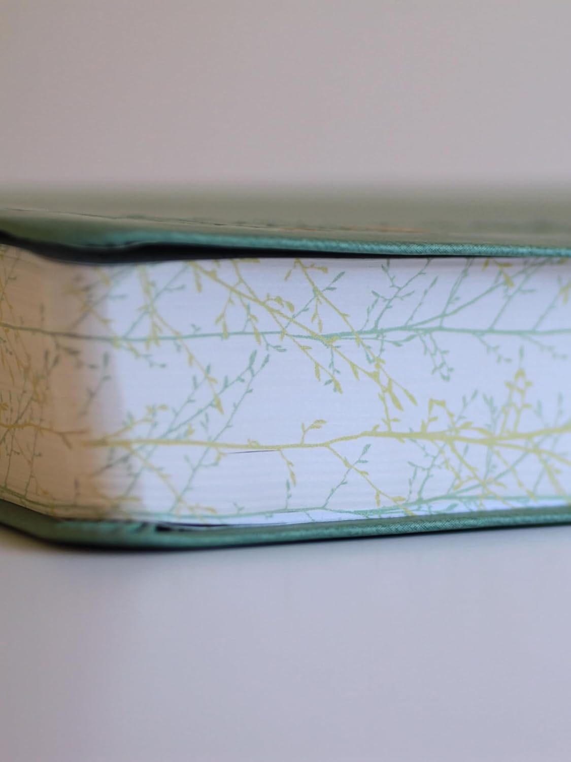 Biblia Reina-Valera 1960, Letra 14 Pt, 14×21, Palabras De Jesús En Rojo, Concordancia, Tapa PU, Verde, Pájaros