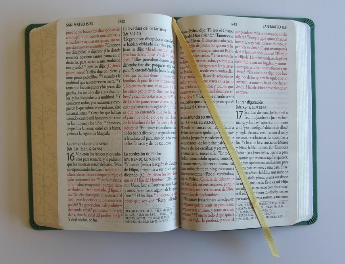 Biblia Reina-Valera 1960, Letra 14 Pt, 14×21, Palabras De Jesús En Rojo, Concordancia, Tapa PU, Verde, Pájaros