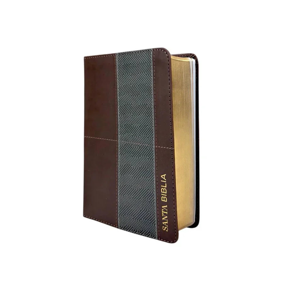 Biblia Reina Valera 1960 045C L 12P 13X18 Pjr Geométrico Café