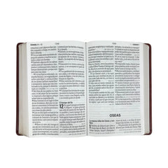 Biblia Reina Valera 1960 088C Lsgi 19P 16X23 Café Geo