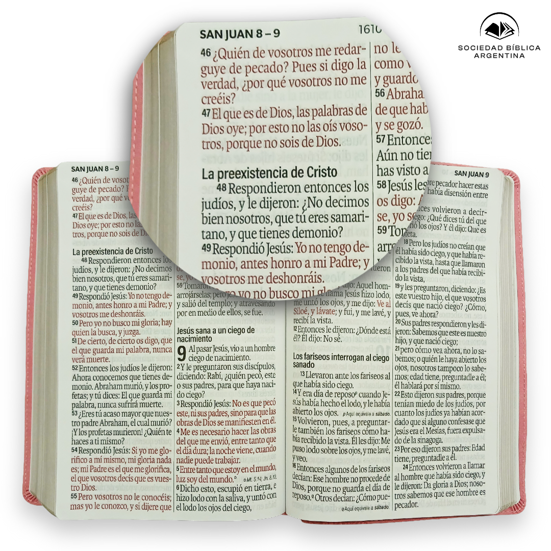 Biblia Reina Valera 1960 088C Lsgi 19P 16X23 Rosa Floral