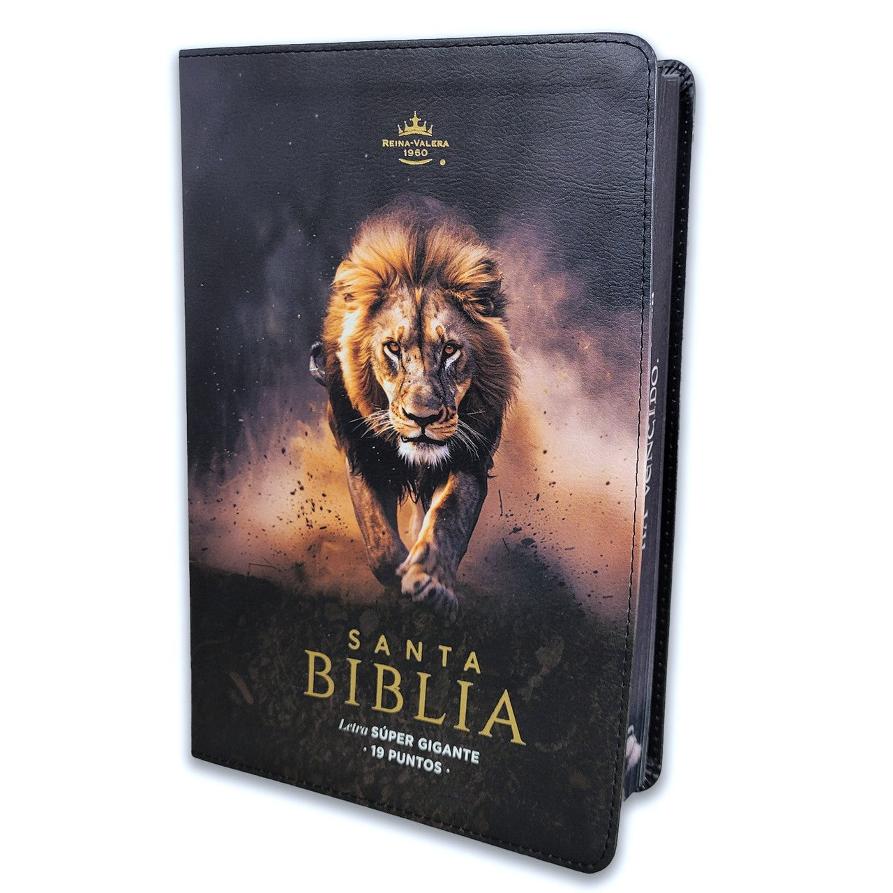 Biblia Reina Valera 1960 088C Lsgi 19P 16X23 Cp Pjr León De Juda