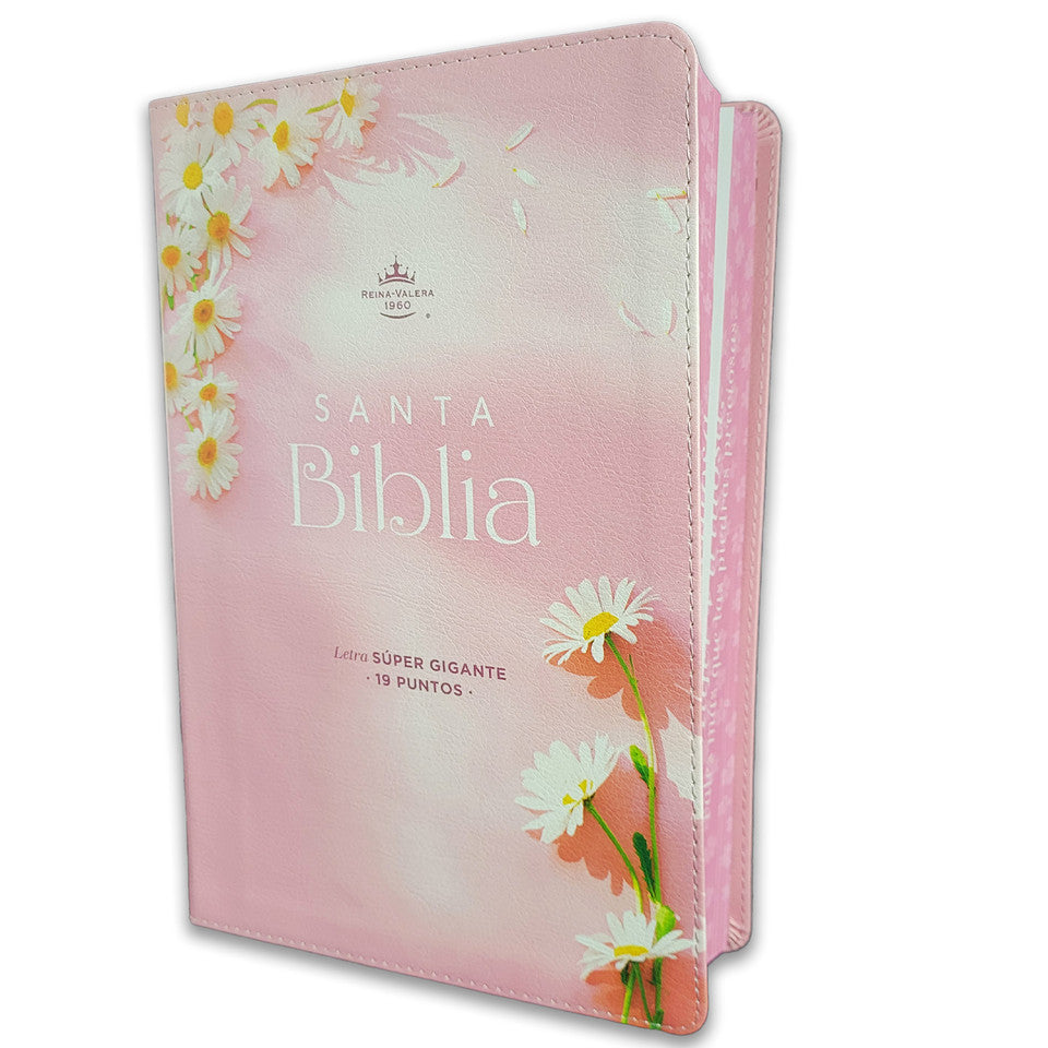 Biblia Reina Valera 1960 088C Lsgi 19P 16X23 Cp Pjr Mujer Virtuosa
