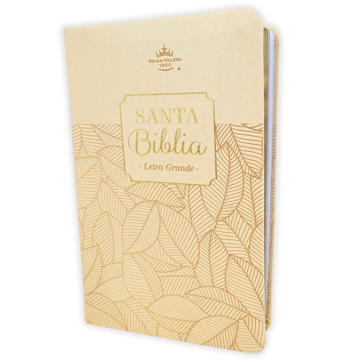 Biblia Reina-Valera 1960 062 Concordancia, Palabras De Jesús En Rojo, Letra 11 Pt, 13,8×21, Beige, Con Hojas