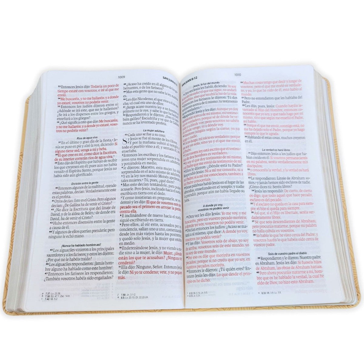 Biblia Reina-Valera 1960 062 Concordancia, Palabras De Jesús En Rojo, Letra 11 Pt, 13,8×21, Beige, Con Hojas