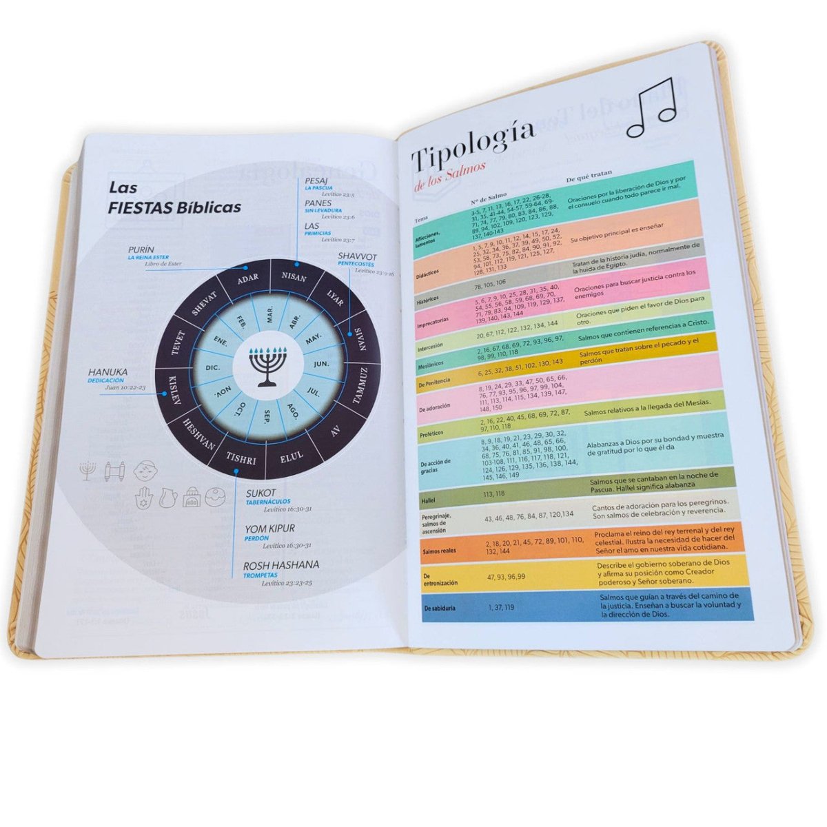 Biblia Reina-Valera 1960 062 Concordancia, Palabras De Jesús En Rojo, Letra 11 Pt, 13,8×21, Beige, Con Hojas