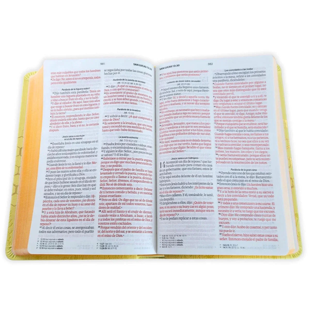 Biblia Reina-Valera 1960 062 Concordancia, Palabras De Jesús En Rojo, Letra 11 Pt, 13,8×21, Amarillo, Abejas