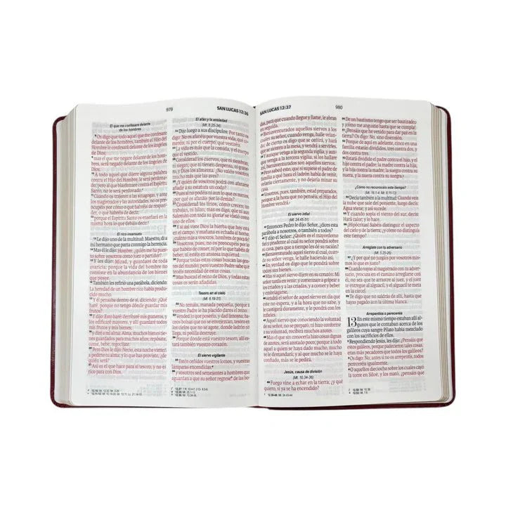 Biblia Reina-Valera 1960 062 Concordancia, Palabras De Jesús En Rojo, Letra 11 Pt, 13,8×21, Verde Olivo