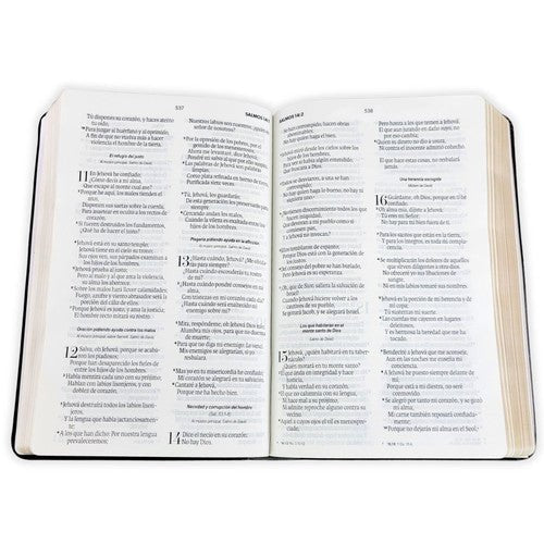 Biblia Reina Valera 1960 Vintage – Con Concordancia – Letra 11 pts – 14x21 cm – Tapa PU – Gris/Negro