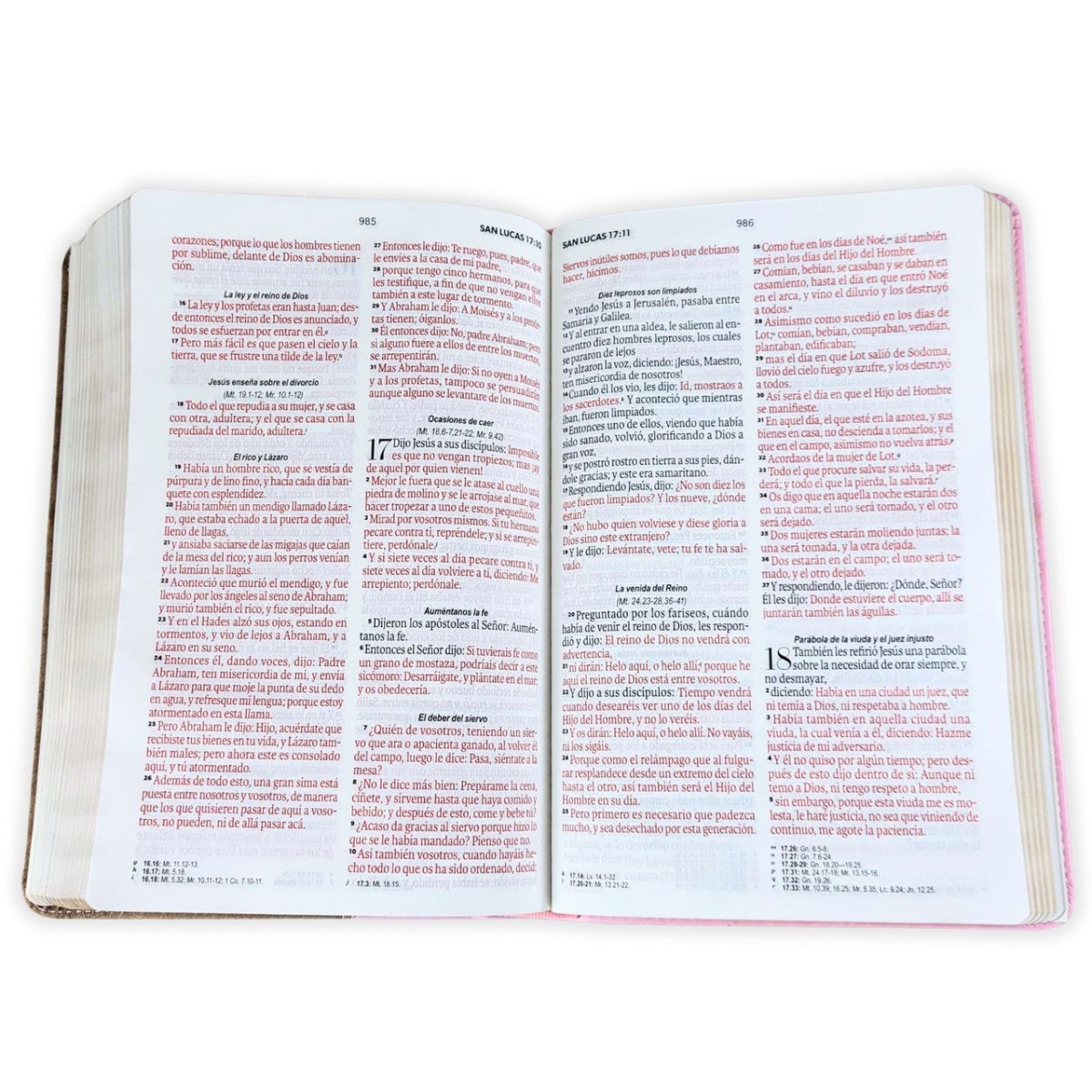 Biblia Reina Valera 1960 Vintage – Con Concordancia – Letra 11 pts – 14x21 cm – Tapa PU – Rosa/Café