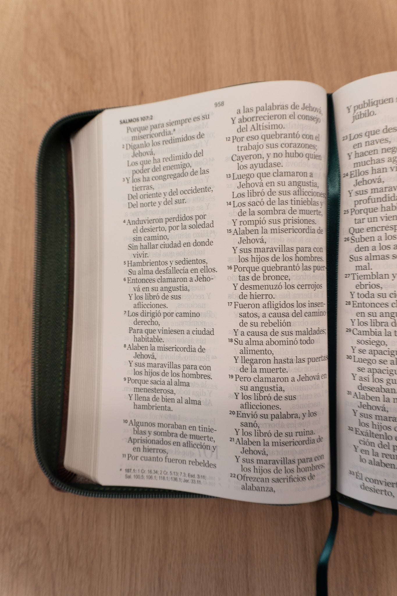 Biblia Reina Valera 1960 – 068 – Con Concordancia – Letra 14 pts – 14x21 cm – Cierre – Café/Verde Olivo