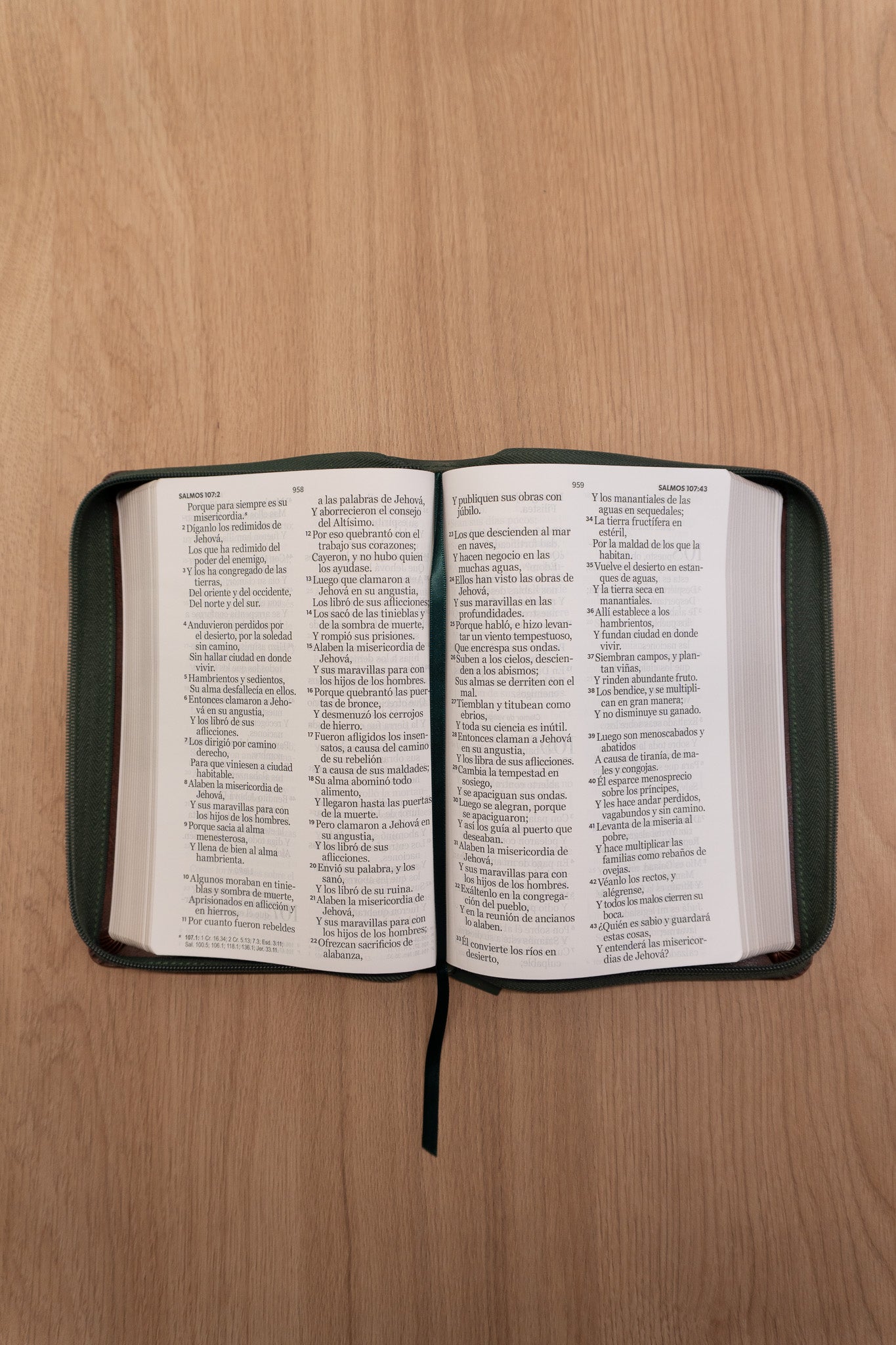 Biblia Reina Valera 1960 – 068 – Con Concordancia – Letra 14 pts – 14x21 cm – Cierre – Café/Verde Olivo