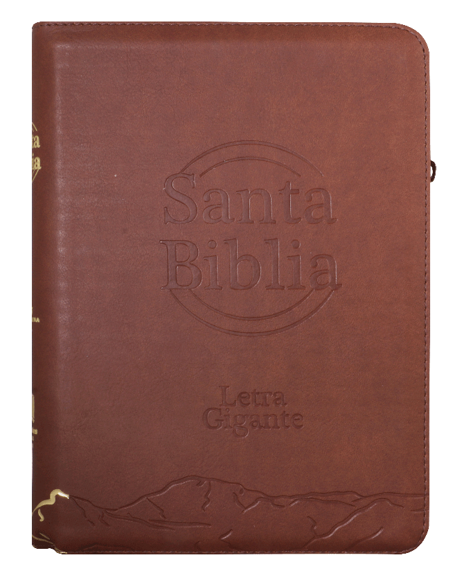 Biblia Reina Valera 1960 – 086C – Letra 14 pts – 18x24,5 cm – Palabras de Jesús en Rojo – Cierre con Índice – Marron