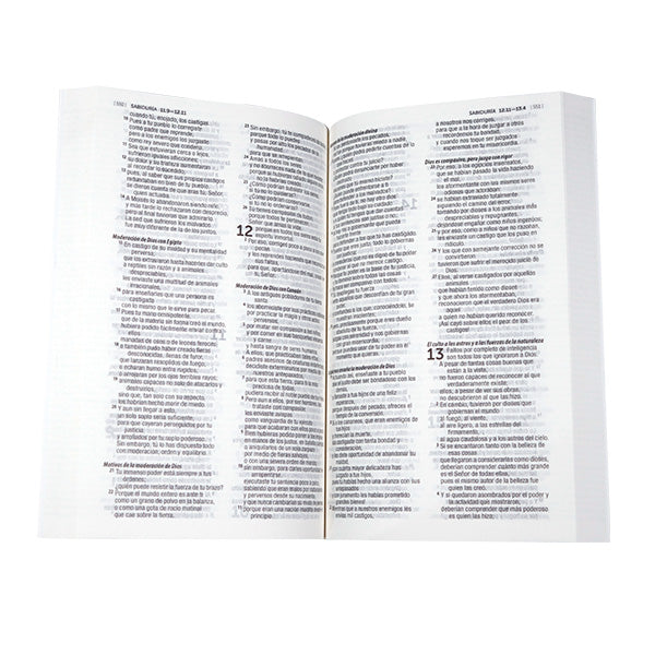 Biblia 1M Económica Dios Habla Hoy – Tapa Cartulina Símbolos, con Índice, 14 x 21 cm, Letra 8 Puntos