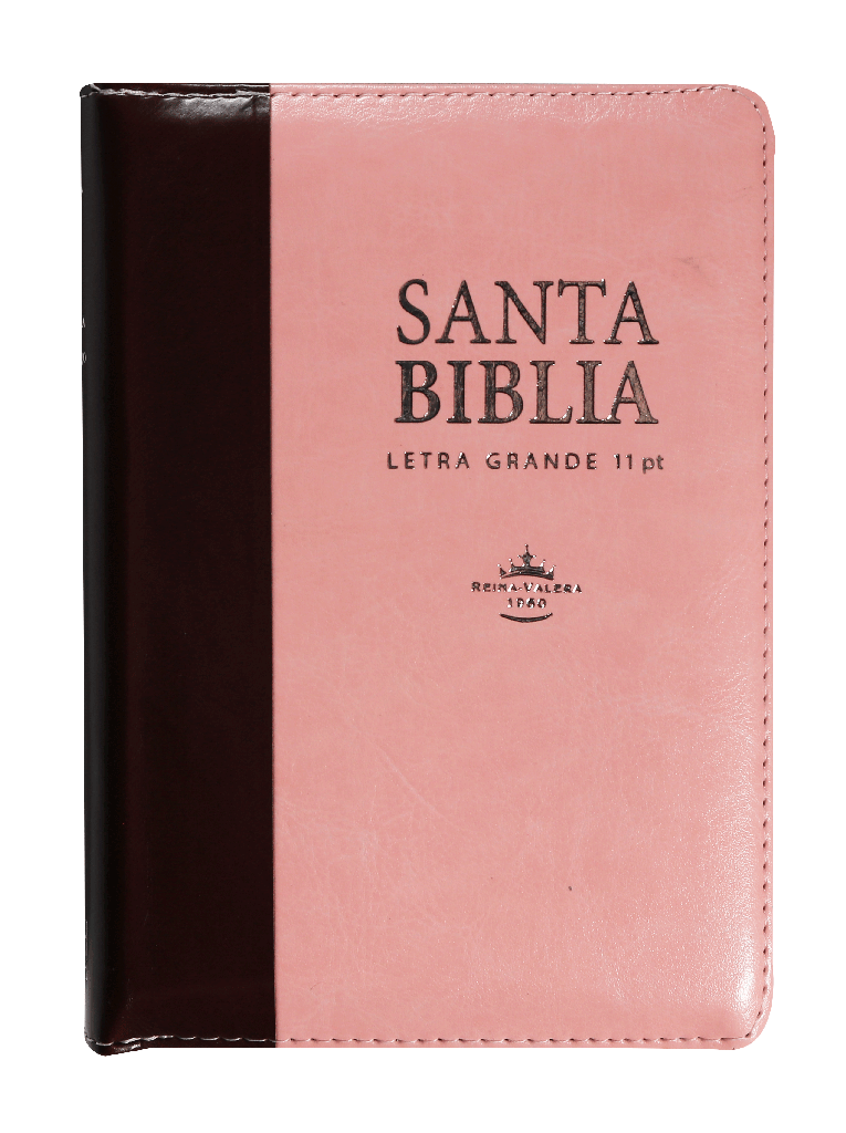 Biblia Reina Valera 1960 Letra Mayor Cierre Indice Marr/rosa