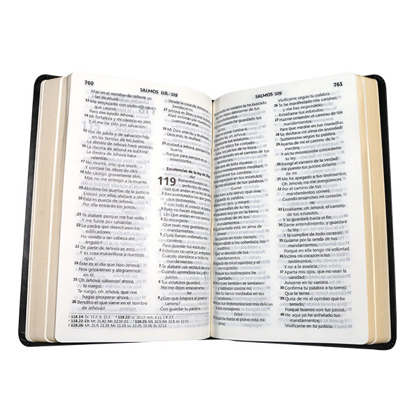 Biblia Reina Valera 1960 Letra Compacta Tapa GB Negra 14 x 21 cm