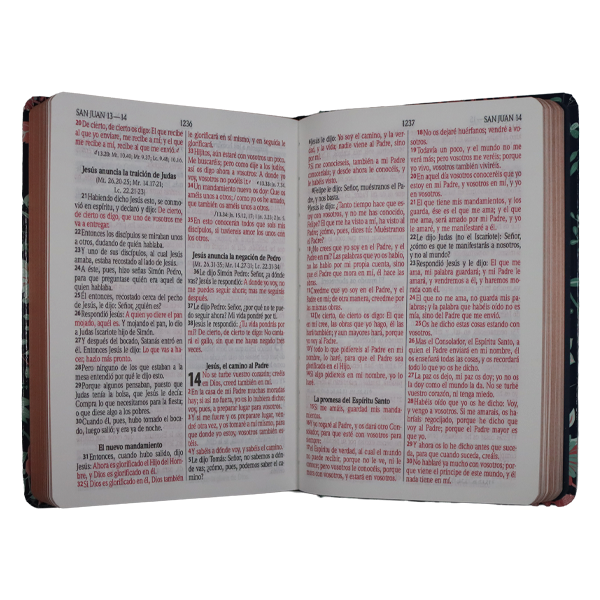 Biblia Reina Valera 1960 · 13,5x21 cm · Letra 12 pt · Letra grande · Tapa dura · Diseño azul con flores y canto bronce