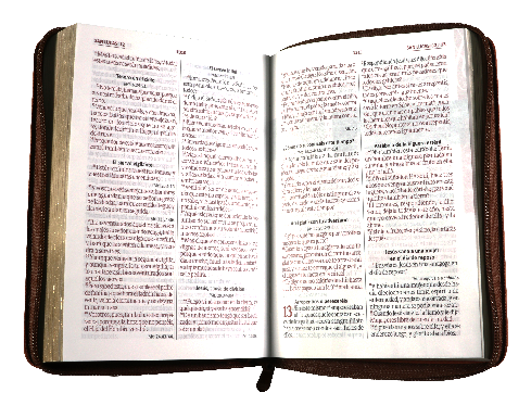 Biblia Reina Valera 1960 – 056 – Con Concordancia – Letra 10 pts – 14,5x20 cm – Palabras de Jesús en Rojo – Cierre – Tapa PU Oraciones Marron
