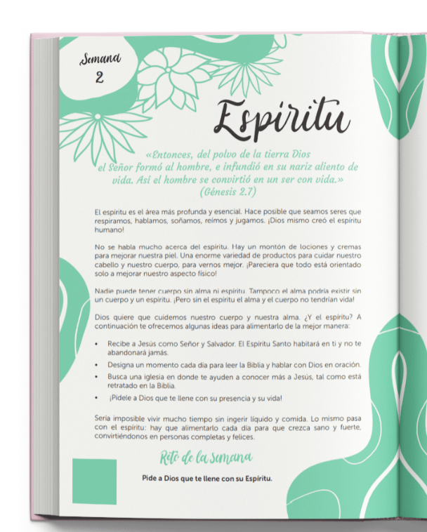 Biblia Reina Valera Contemporánea – Tapa Imitación Piel y Tela Lino y Rosa con Bolso Rosa, Concordancia, Palabras de Jesús en Rojo, 18 x 25 cm, Letra 12 Puntos