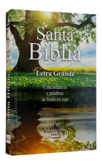 Biblia Reina Valera 1960 Letra Grande Palabras Jesús Rojo Concordancia Tapa rustica economicas