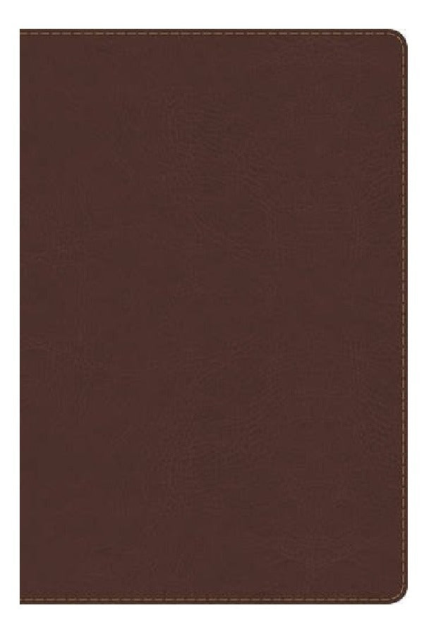 Biblia De Estudio Arco Iris Chocolate Símil Piel Reina Valera 1960