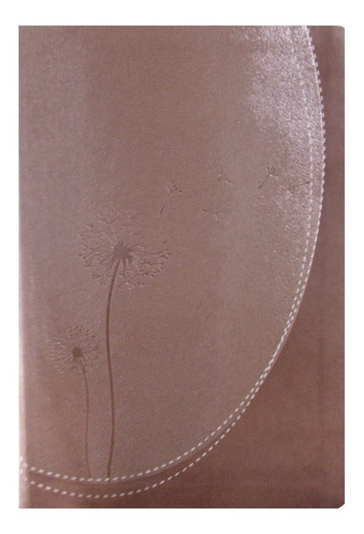 Biblia De Estudio De Promesas Inspira RVR1960 Piel Rosado E índice