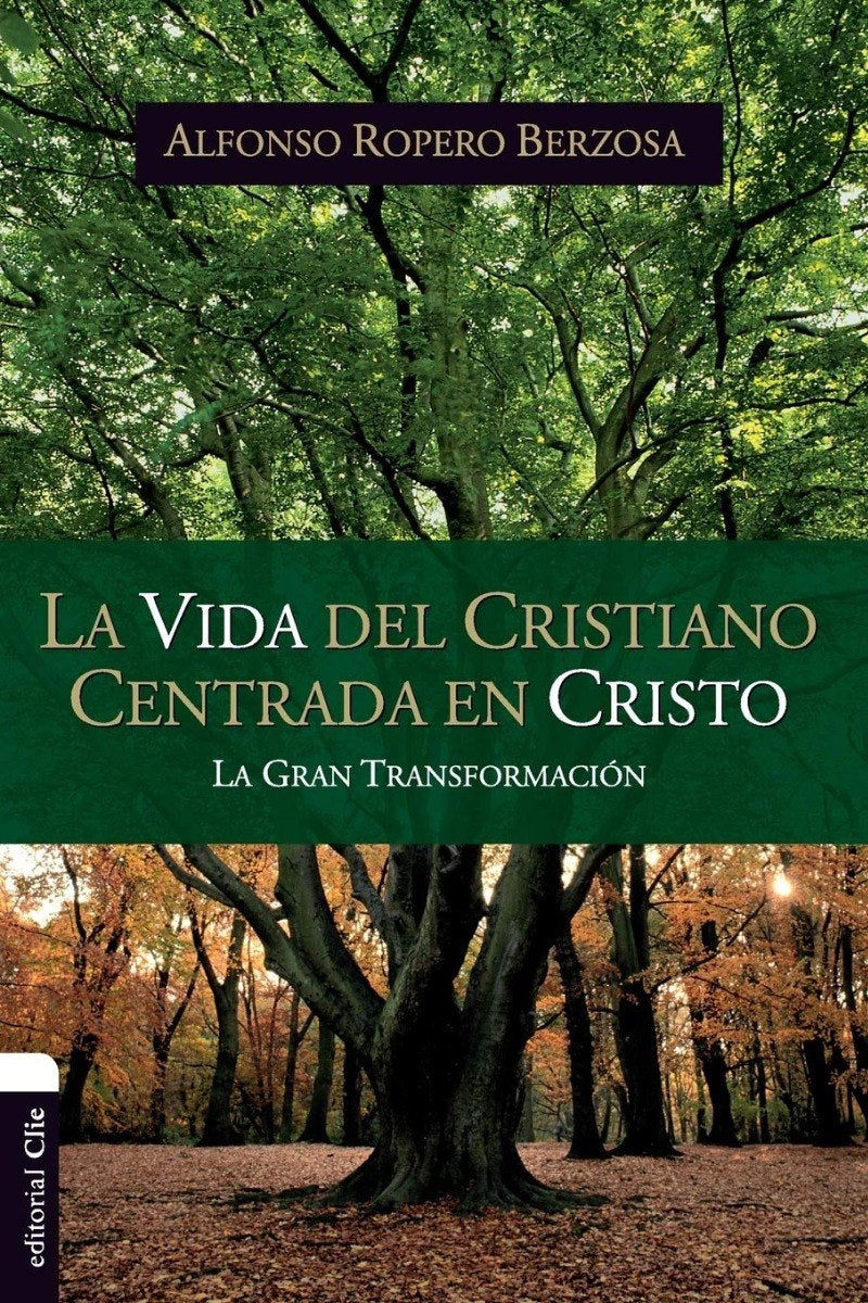 La Vida Del Cristiano Centrada En Cristo, Ropero Alfonso