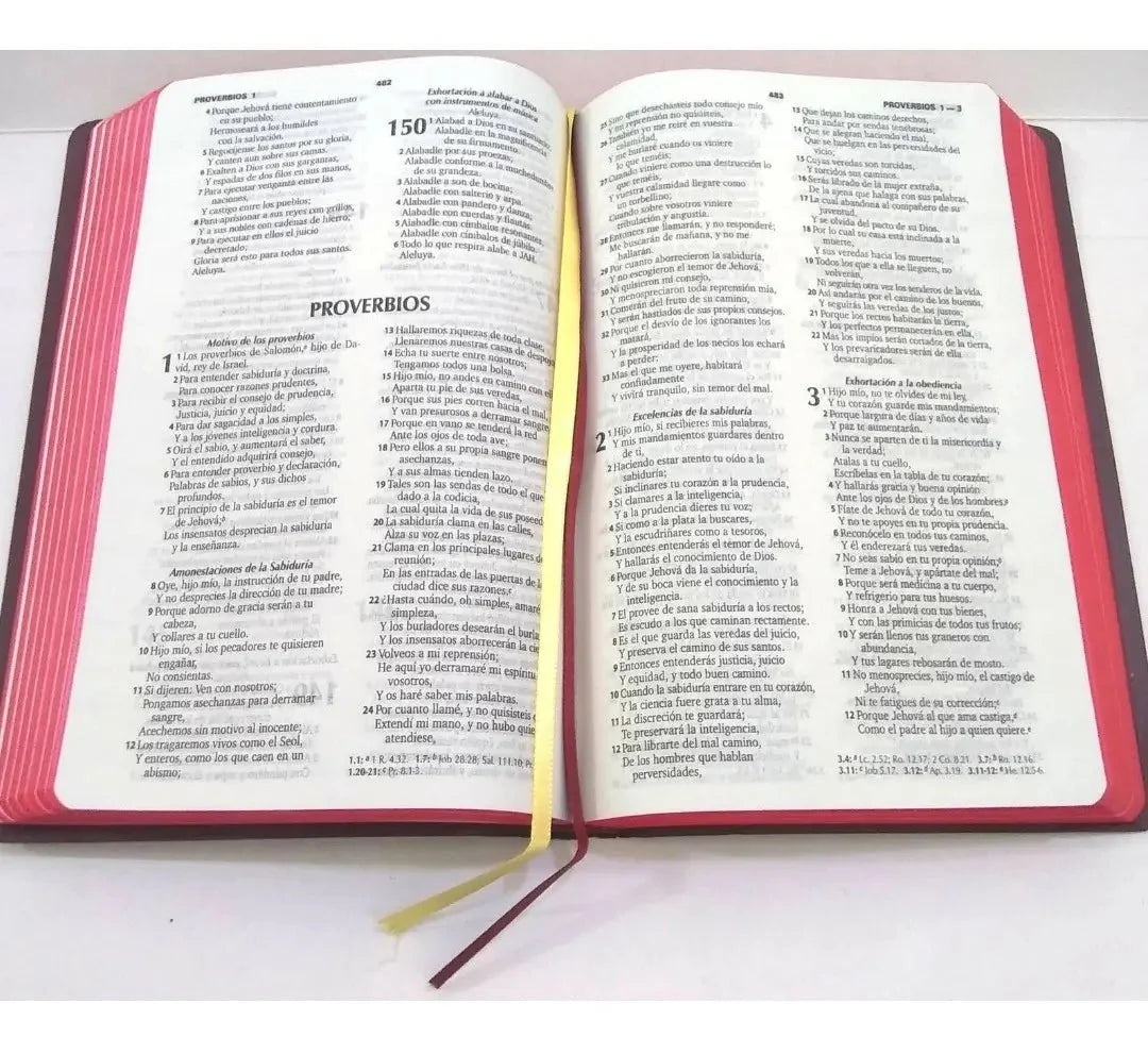 Biblia Reina Valera 1960 – Tapa Imitación Piel Bordó, Concordancia, 14 x 21 cm, Letra 9 Puntos