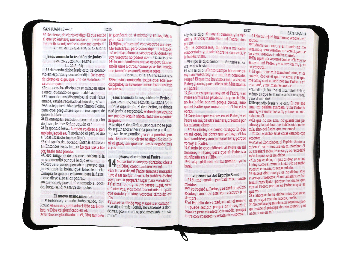 Biblia Reina Valera 1960 – Tapa Imitación Piel Negro Canto Dorado, con Cierre, Concordancia, Palabras de Jesús en Rojo, 18 x 24 cm, Letra 15 Puntos