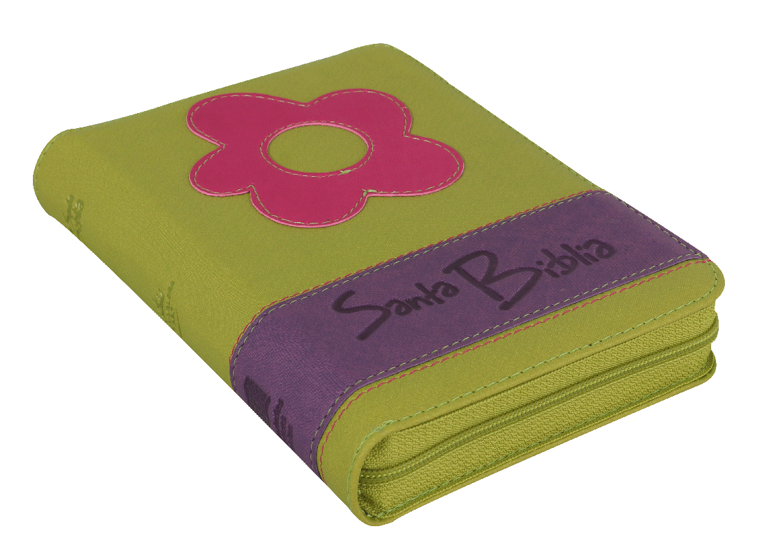 Biblia Reina Valera 1960 – 046 – Con Concordancia – Letra 9 pts – 12,5x17 cm – Palabras de Jesús en Rojo – Cierre – Flor Verde/Lila
