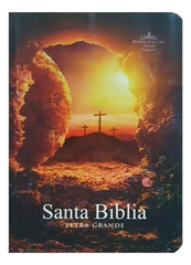BIBLIA RVR.23c L 9 PUNTOS 9x13 PJR TAPA DURA COLORES PIEDRA