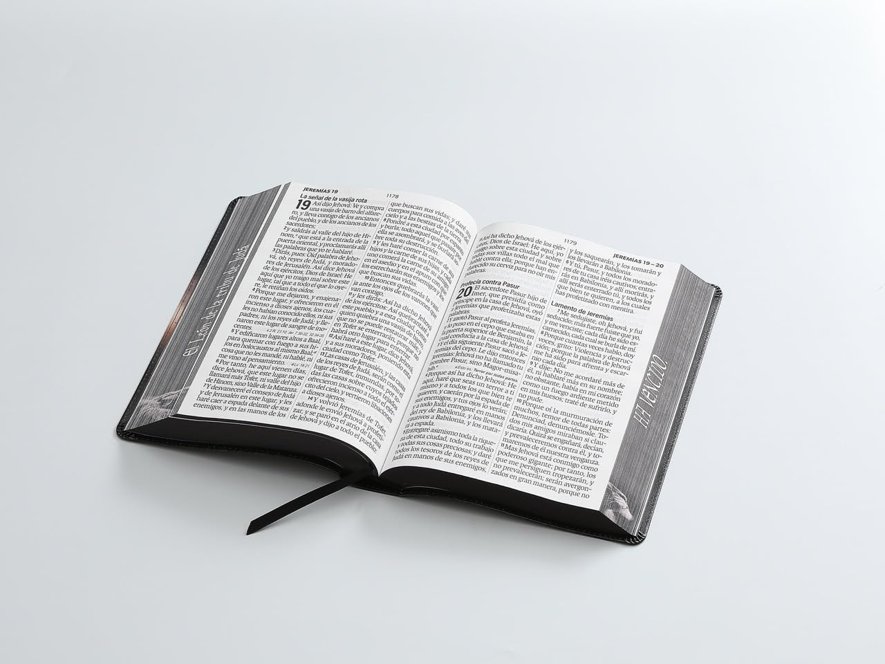 Biblia Reina Valera 1960 088C Lsgi 19P 16X23 Cp Pjr León De Juda