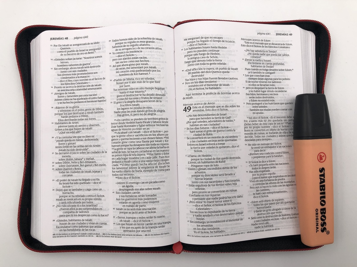 Biblia Nueva Traducción Viviente Letra Compacta Canto plateado Cierre Gris
