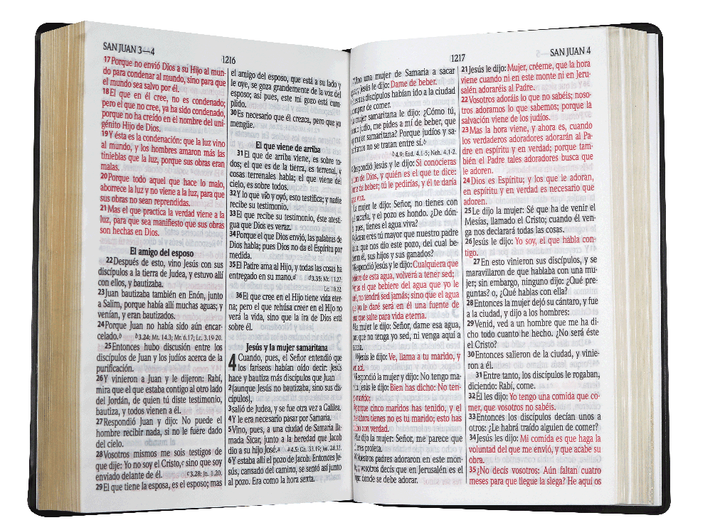 Biblia Reina Valera 1960 – Tapa Vinilo Negro, Concordancia, Palabras de Jesús en Rojo, 15 x 22 cm, Letra 12 Puntos