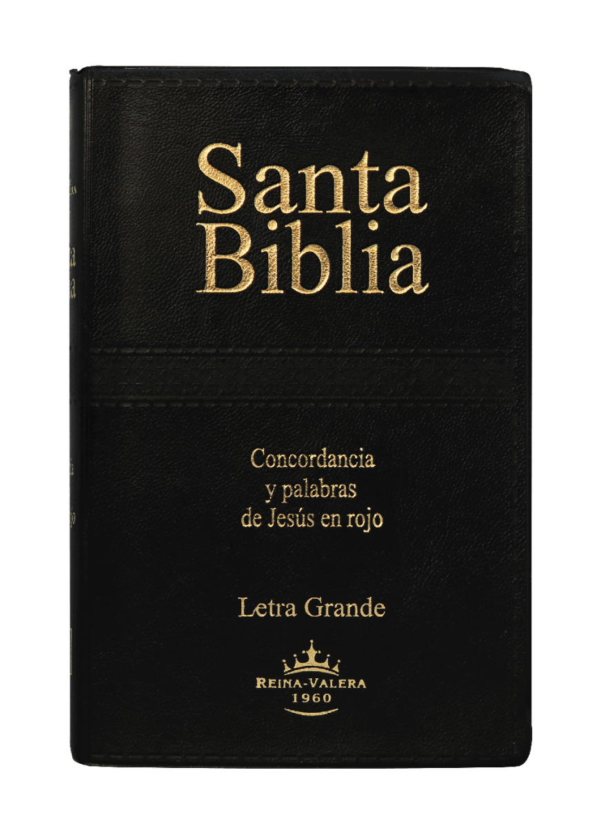 Biblia Reina Valera 1960 – Tapa Vinilo Negro, Concordancia, Palabras de Jesús en Rojo, 15 x 22 cm, Letra 12 Puntos