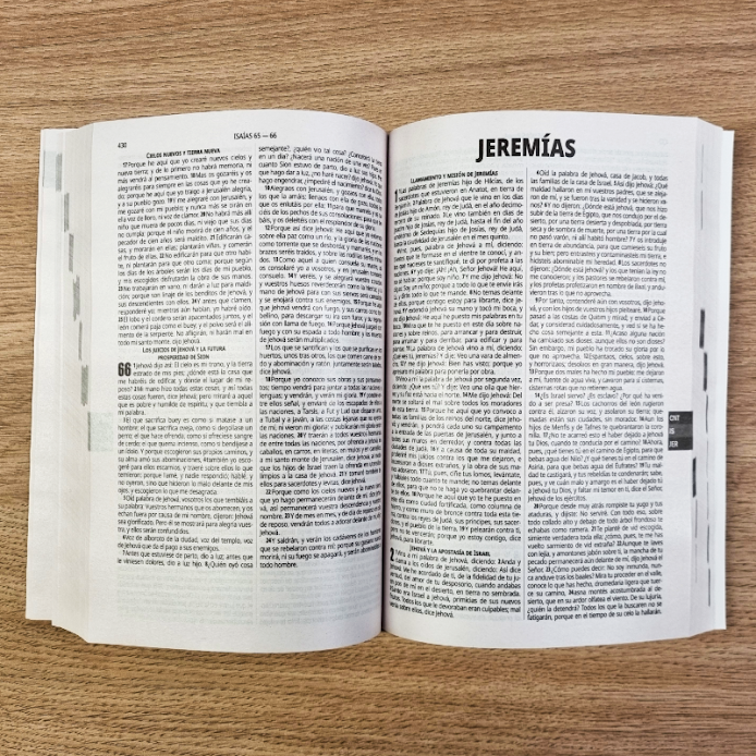 Biblia Reina Valera 1960 Económica Pack x 5u.- Tapa Rústica Flores Tropicales (Palabras de Jesús en Rojo y Concordancia)
