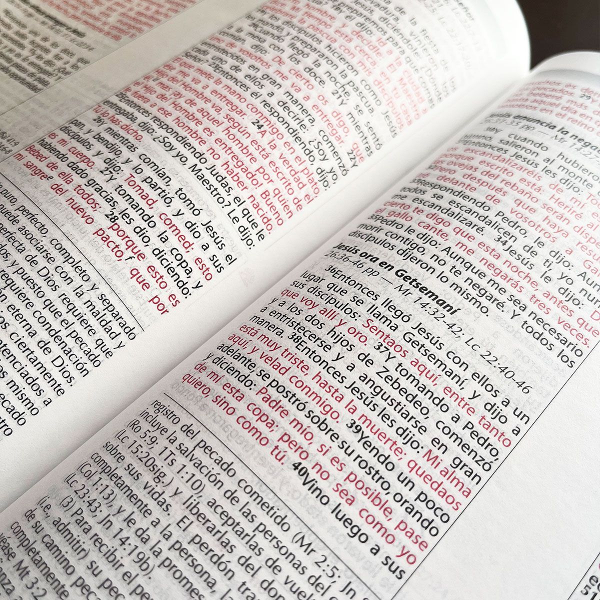 Biblia Vida Plena Reina Valera 1960 – Piel Negro