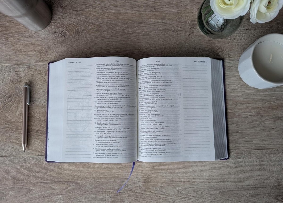 Biblia Nueva Traducción Viviente (NTV), Letra 8,25 Pt, 16×21, Inspira, Con Filament, Tapa Dura, Púrpura