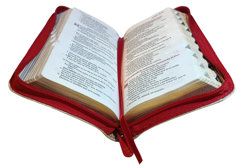 Biblia Reina Valera 1960 – 036 – Con Concordancia – Letra 8 pts – 8,5x16,5 cm – Palabras de Jesús en Rojo – Cierre con Índice – Tapa PU Roja/Beige