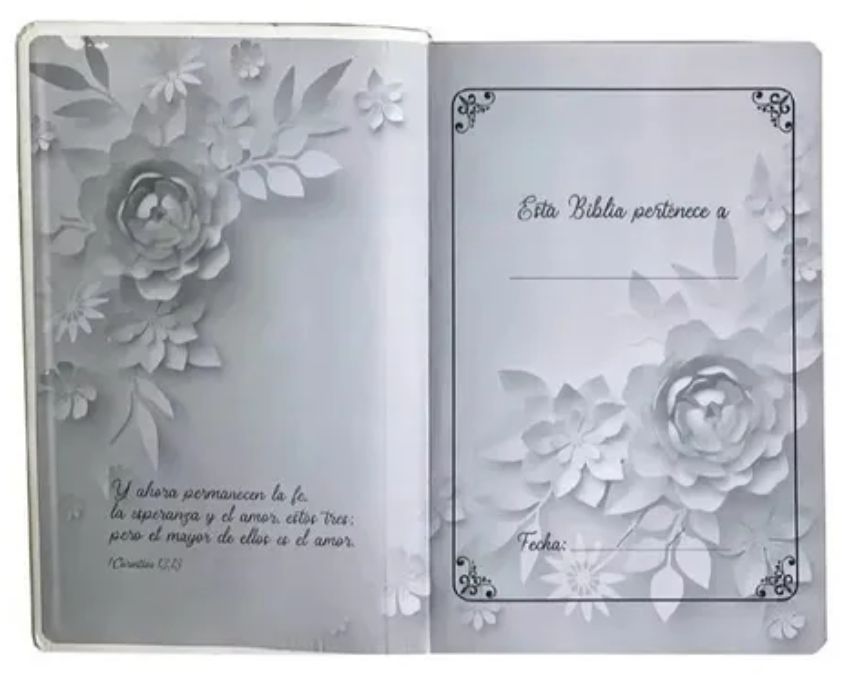 Biblia Reina Valera 1960 Letra Grande 14 Puntos Blanca