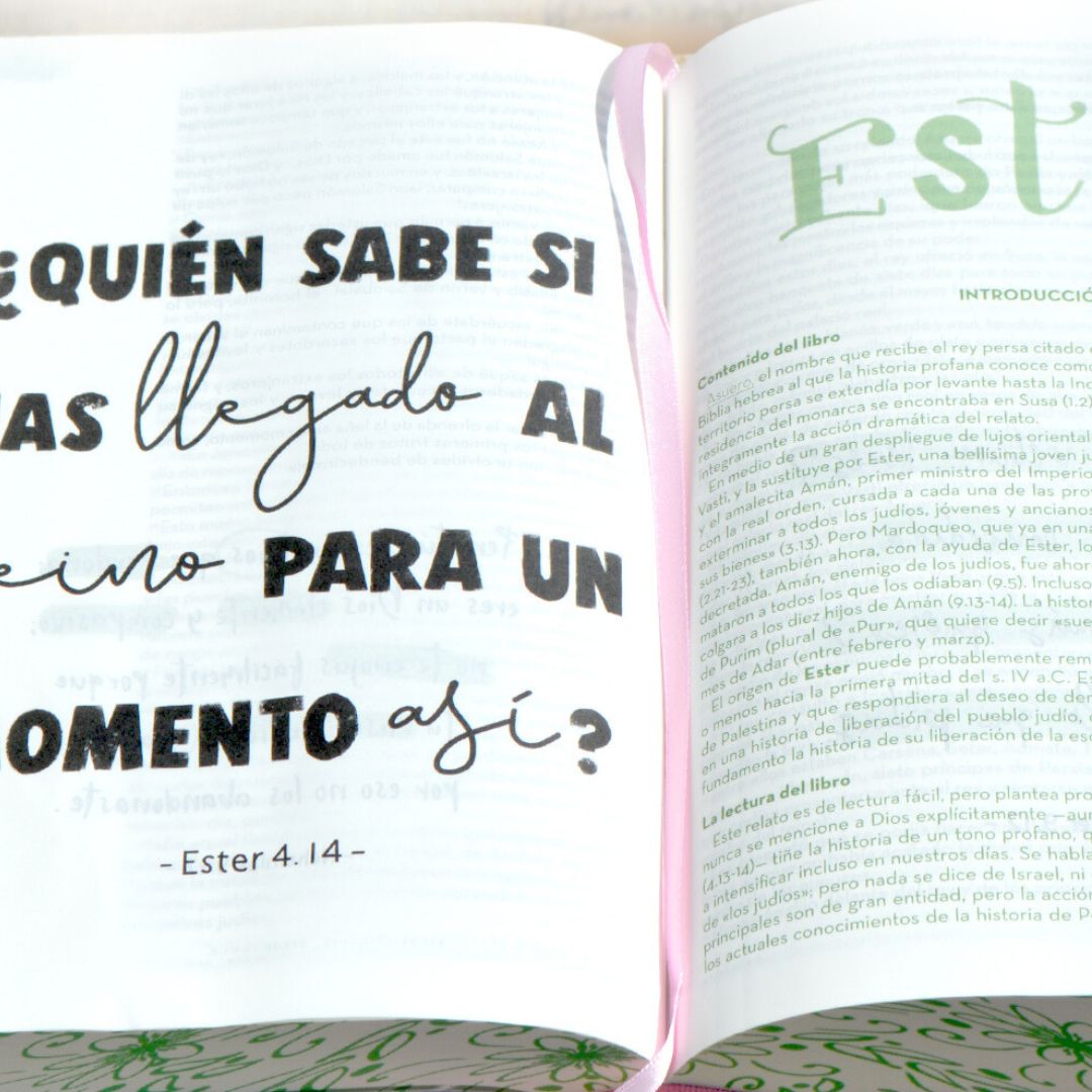 Biblia Arte Reina Valera Contemporánea – Tapa Tela Rosa, Concordancia, 18 x 24 cm, Letra 11 Puntos