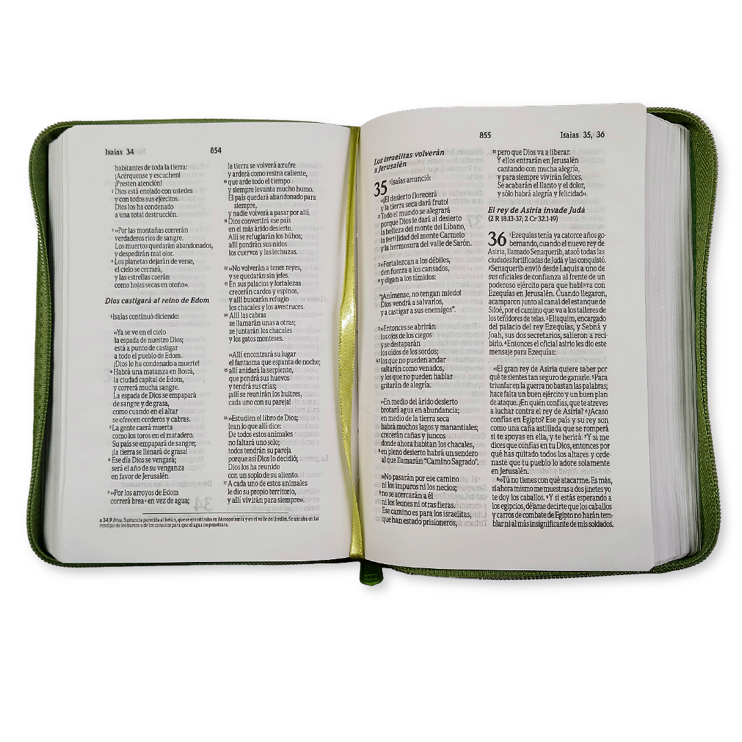Biblia Mediana Cierre Traducción Lenguaje Actual