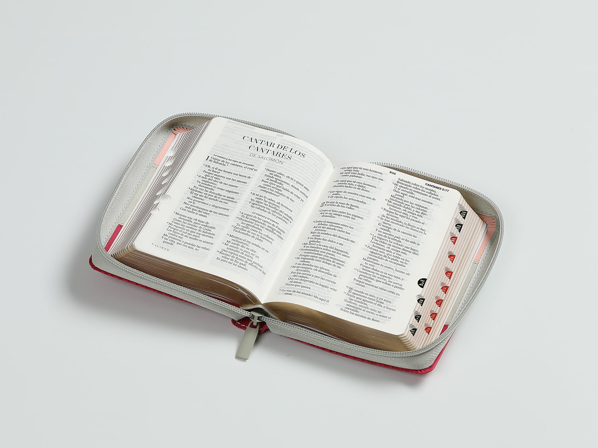 Biblia Reina Valera 1960 – 025 – Con Concordancia – Letra 8 pts – 10x14 cm – Cierre – Indice- Tricolor Rosa/Blanco/Fucsia