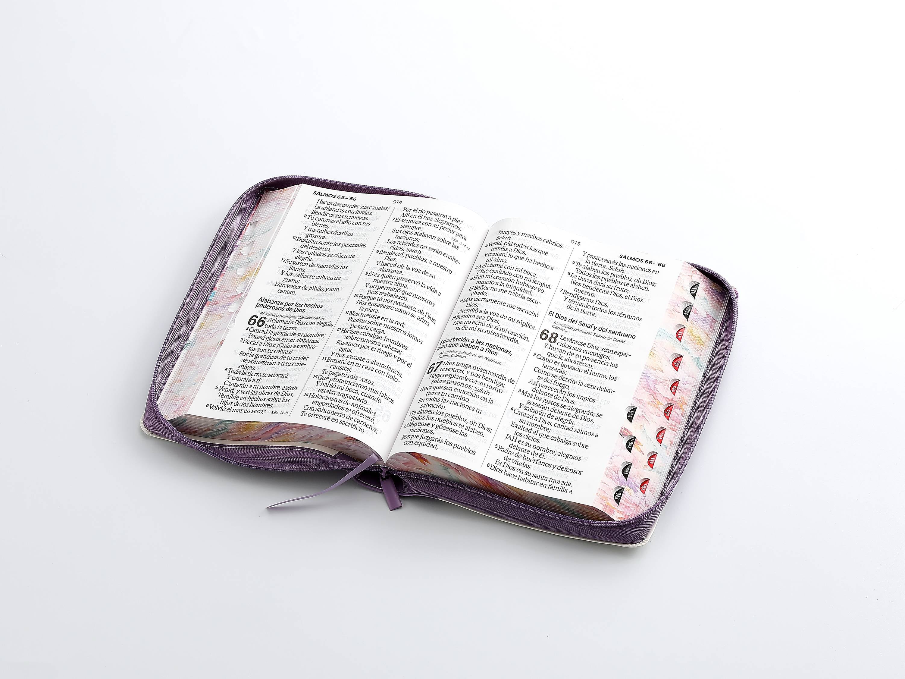 Biblia Reina Valera 1960 – 088 – Con Concordancia – Letra 19 pts – 16x23 cm – Cierre con Índice – Flores Lila