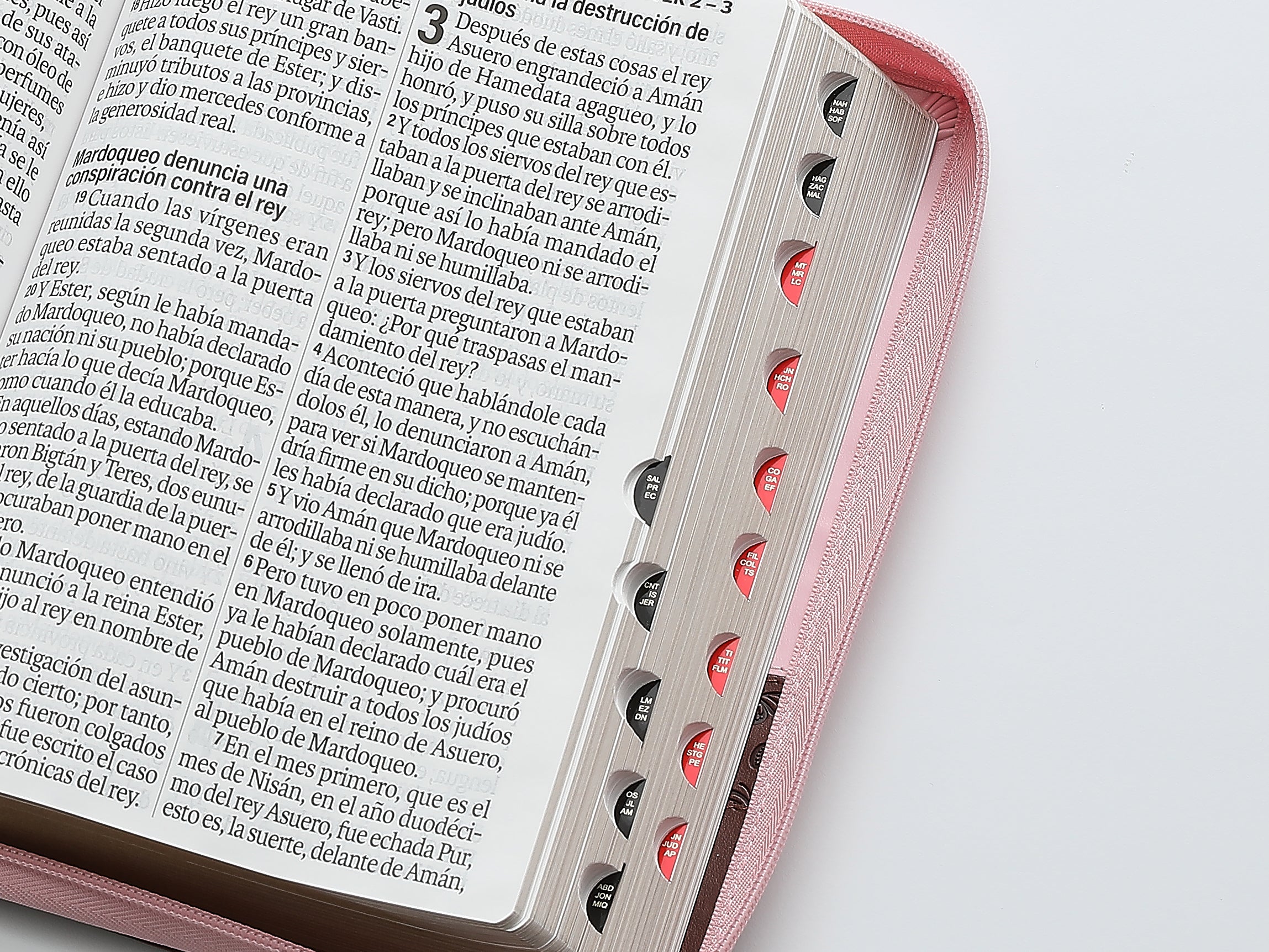 Biblia Reina Valera 1960 – 088 – Con Concordancia – Letra 19 pts – 16x23 cm – Cierre con Índice – Café/Rosa
