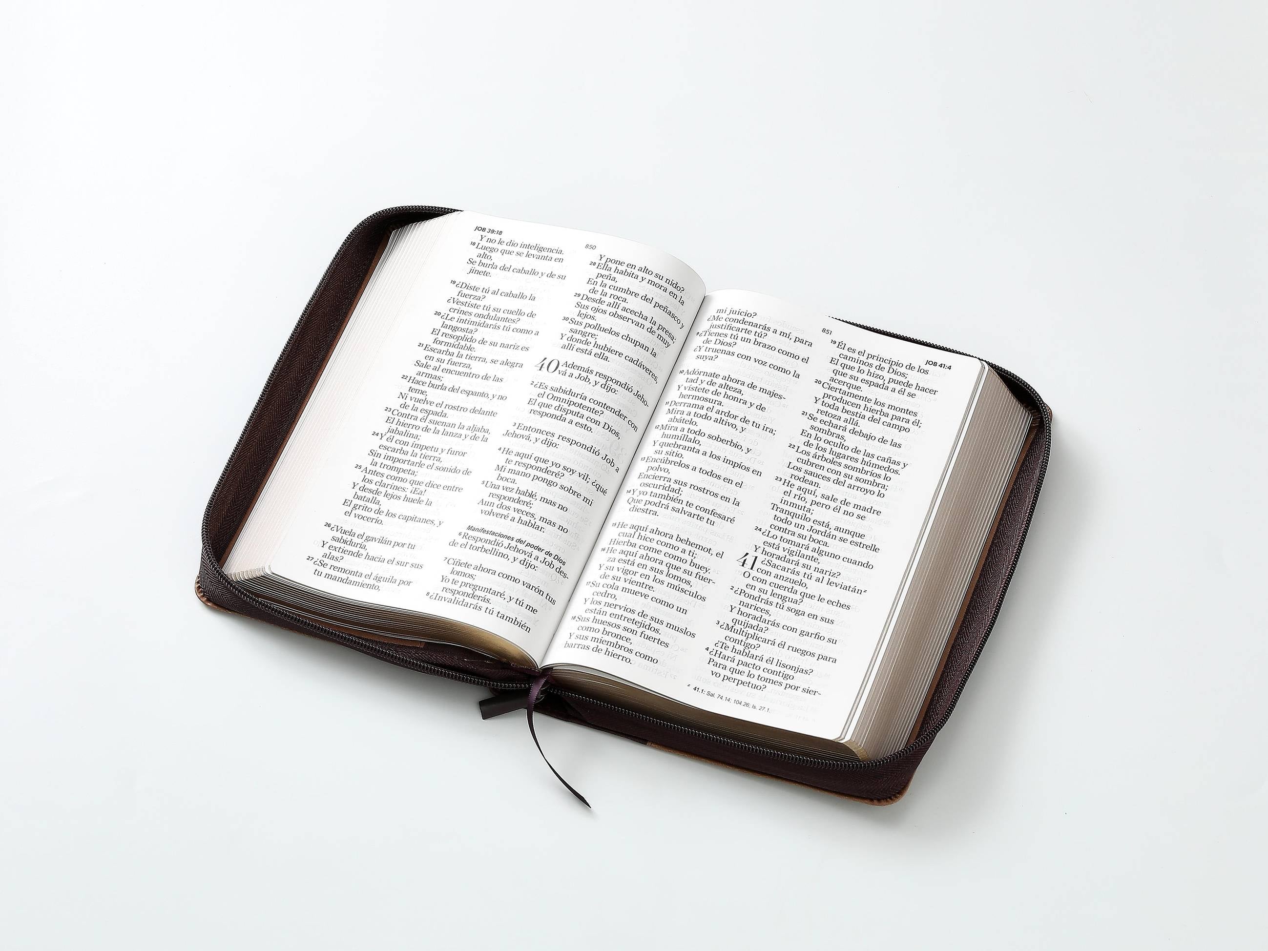 Biblia Reina Valera 1960 – 068 – Con Concordancia – Letra 14 pts – 14x21 cm – Cierre – Café – Montes