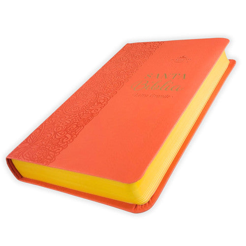 Biblia Reina Valera 1960 – 066 – Con Concordancia – Letra 11 pts – 14x22 cm – Coral