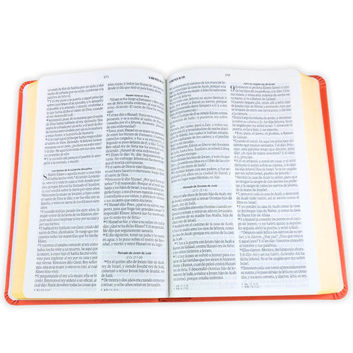 Biblia Reina Valera 1960 – 066 – Con Concordancia – Letra 11 pts – 14x22 cm – Coral