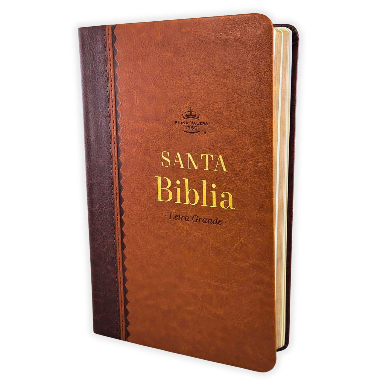 Biblia Reina Valera 1960 – 066 – Con Concordancia – Letra 11 pts – 15x22 cm – Café - Canto dorado